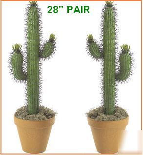 Hot south west beauty artificial saguaro cactus pair