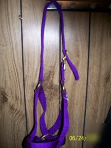 New born calf (cow) halter choice of color usa made