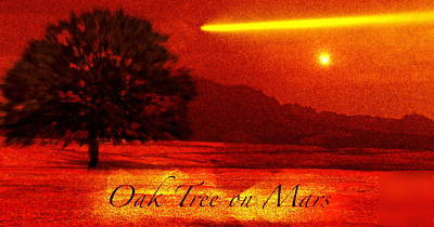Oak tree on mars picture