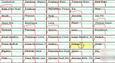 Biopulsar aura imaging chakra and organ biofeedback