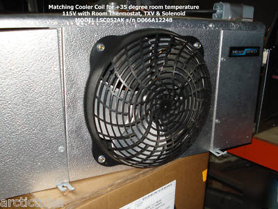 Walk in cooler freezer combo 13' x 5'10