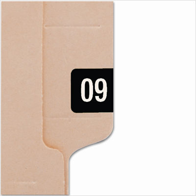 Year 2009 end tab folder labels, 1X1/2, black, 250/pack