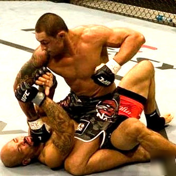 Established ufc internet website business for sale 