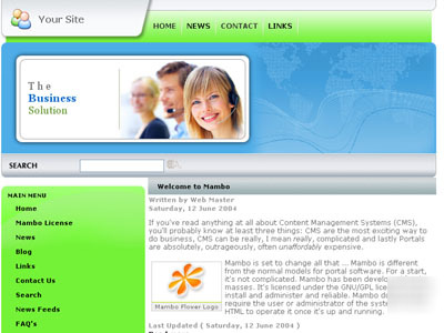 Business themed mambo cms website & 1 years hosting