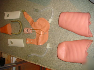 Laerdal airway managment trainer head used.