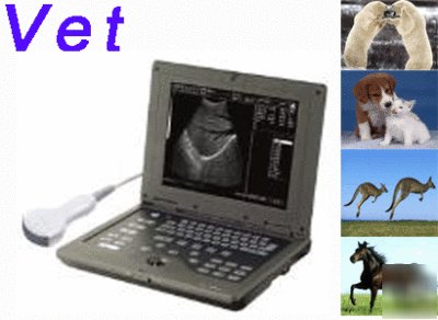 New vet ultrasound system veterinary ultrasound scanner 