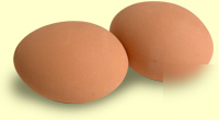 12 mixed artificial chicken ceramic hatching nest eggs