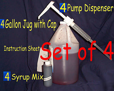 Gallon snow cone syrup mix & jug & pump fundraiser set