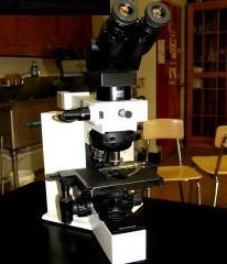 Olympus BX50 dualview microscope - w/ warranty 