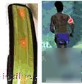 Flashing led reflective safety band visibility skating