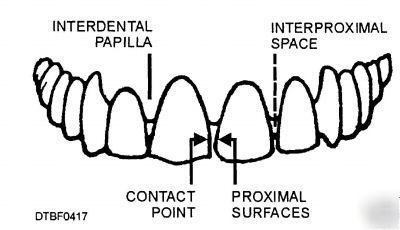 Dental technician & specialist: 4 manual cd, 942 pages