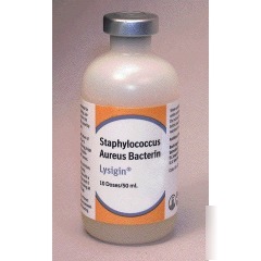 Boehringer vaccine lysigin 50ML 04-104121