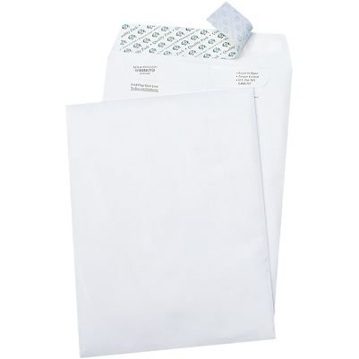 Quill 7-2019: tyvek plain catalog envelopes; 9.5 x 12.5