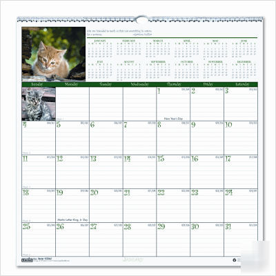 Earthscapes kittens monthly wall calendar, 12 x 12