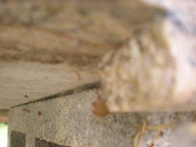 Granite countertop/slab with finished edges over 8 foot