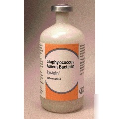 Boehringer vaccine lysigin 250ML 04-104131